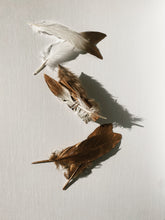 Load image into Gallery viewer, 7/51